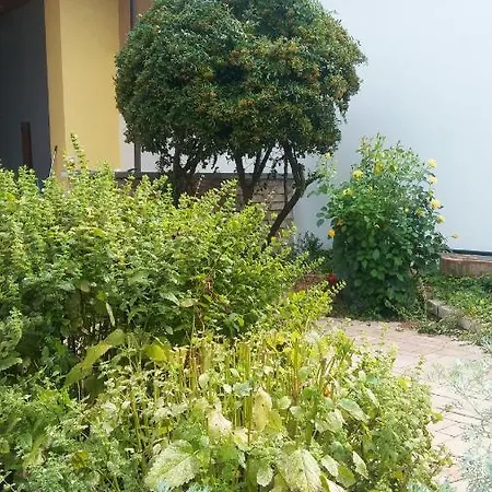 Za Vodou Country house