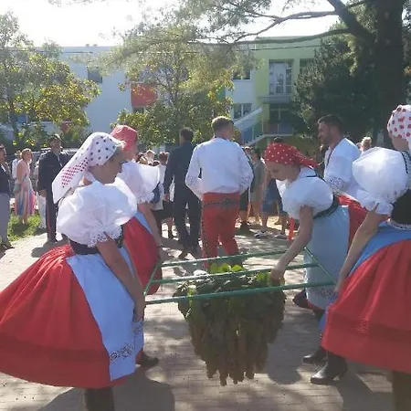 Za Vodou Εξοχικό σπίτι Moravská Nová Ves